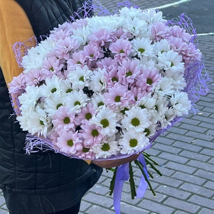 букет из розовой кустовой хризантемы - купить с доставкой в по Яхроме